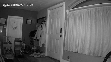 Rabbit reacts moments before 5.7 magnitude earthquake in Utah