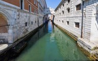 Venice's Canals Are Beautifully Clear As Italy's Coronavirus Lockdown Cuts Down on Water Traffic