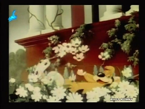 23 - sevimli hayvanlar kubilaysavash -movieturk