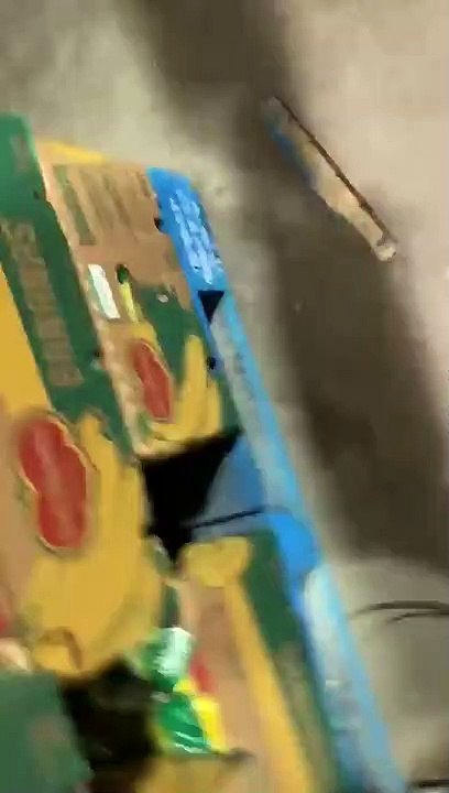 Clientes tiram papel higiénico de empilhador antes deste chegar às prateleiras