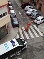 Dinossauro fura restrições na Espanha e é barrado na rua por policias