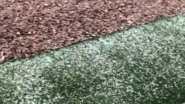 Relentless hail downpour leaves resident stunned