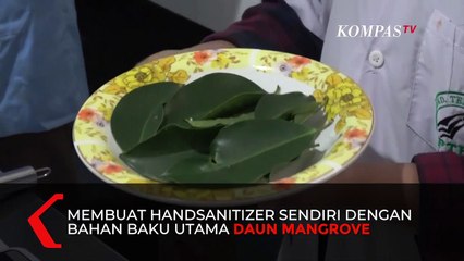 Inovatif! Handsanitizer dari Ekstrak Mangrove