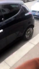 Sortir son faux chien pour prendre l'air
