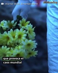 'Contagio': la película 'predijo' la pandemia por coronavirus