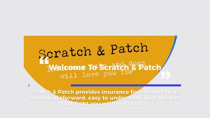 Affordable Pet Insurance