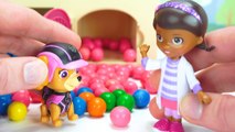 The Paw Patrol pups are Sick- Can Doc McStuffins help them feel better?