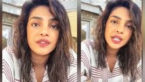 Priyanka Chopra's Message On Her 8th Day Of Self-Isolation