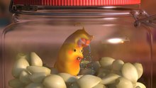 LARVA SEASON3, GARLIC1, FUN CARTOONS, PLEASANT EPISODE | 라바 시즌3 | 마늘1  | 카툰 | 에피소드
