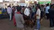इटावा: कोरोना वायरस का खौफ, बकरी बाजार रहा बंद
