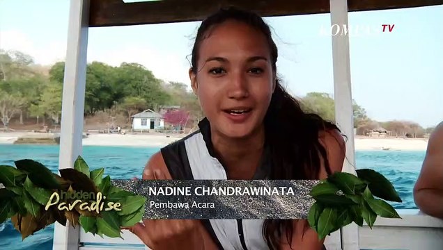 BAGAI DALAM KOTAK PANDORA, DINDING TERUMBU KARANG INDAH DI ALOR