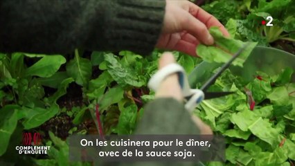 Dans les montagnes Rocheuses, ces activistes américains se préparent à la fin de notre monde