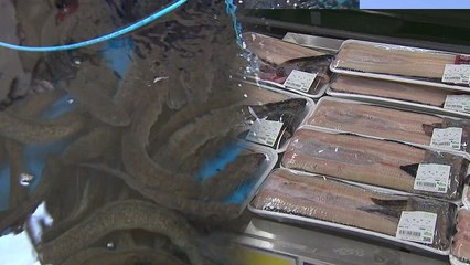 갈 곳 잃은 장어...유통업체 손잡고 '반값 윈윈' / YTN