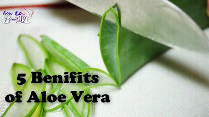 Скачать видео: Top 5 Benefits of Aloe Vera Gel for Skin and Hair Aloe Vera beauty Tips | How to Beautify