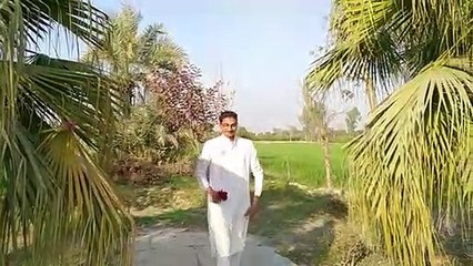 valentine day | Valentine's Day in Islam | Valentine's Day in the Muslim world