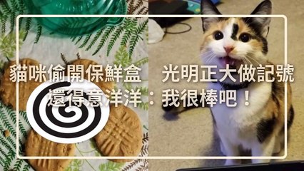 petsmao.nownews-copy3-20200319-17:25