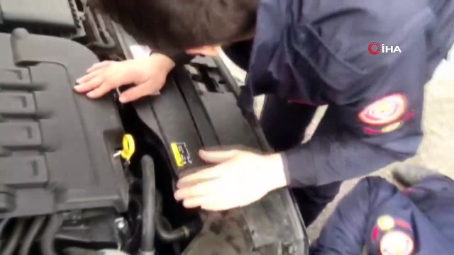 Otomobilin motor bölümüne giren yavru kediyi itfaiye kurtardı