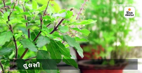 લોકોને જાગૃત કરવા હાસ્યકલાકાર સાંઇરામ દવેએ રેપસોંગ બનાવ્યું