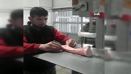 İlik mangalı virüse karşı bağışıklık sistemini güçlendiriyor