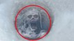 5 Most Mysterious Things Found Frozen In Ice