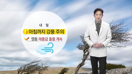 [날씨] 내일 아침까지 강풍 주의...영동 태풍급 돌풍 계속 / YTN