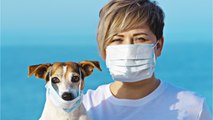How To Care For Your Pet During The Coronavirus Outbreak
