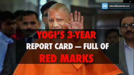 Yogi’s 3-year report card — full of red marks