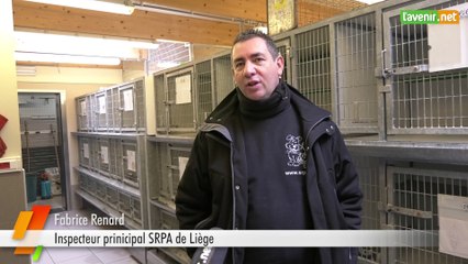 L'Avenir - Coronavirus : comment ça se passe dans un refuge pour animaux