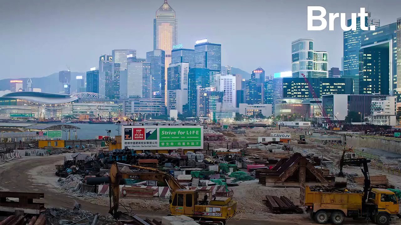 Chauves-souris, tiques... 60 % des maladies infectieuses humaines sont d'origine animale