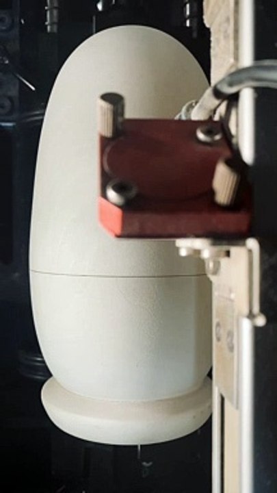 What came first? The chicken or the egg