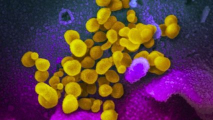 Will the onset of summer stem the march of coronavirus?