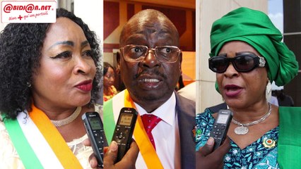 Vote de la réforme constitutionnelle - des députés s’expriment