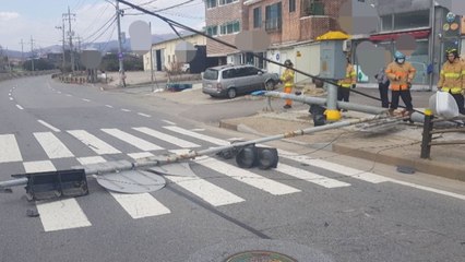 강풍에 용인 신호등·가로수 잇따라 파손 / YTN
