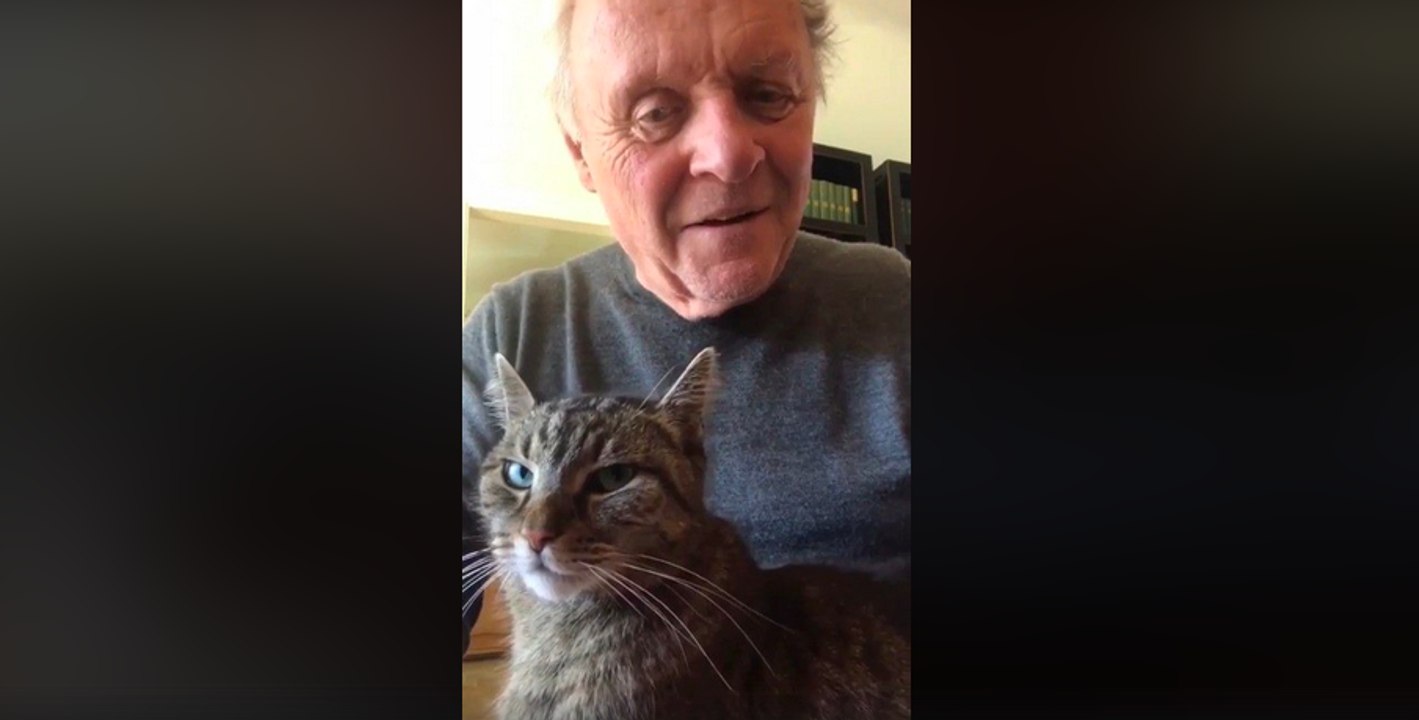 Anthony Hopkins plays piano for his cat Niblo