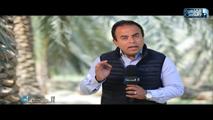 د.محمود الأنصارى يؤكد للجدعان ان الفول أفضل الأغذية لتقوية المناعة وحماية الجهازالتنفسى من الفيروسات