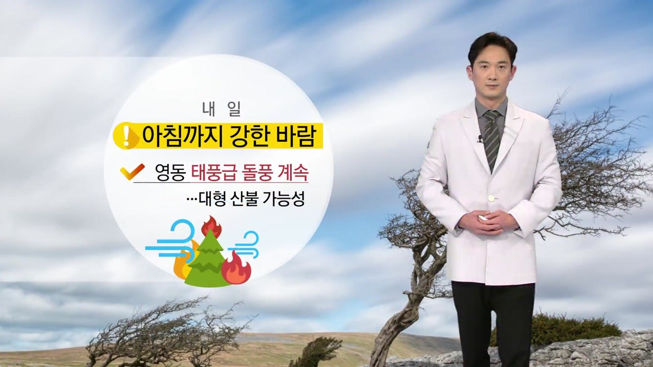 [날씨] 내일 아침까지 강한 바람...영동 돌풍 계속 / YTN