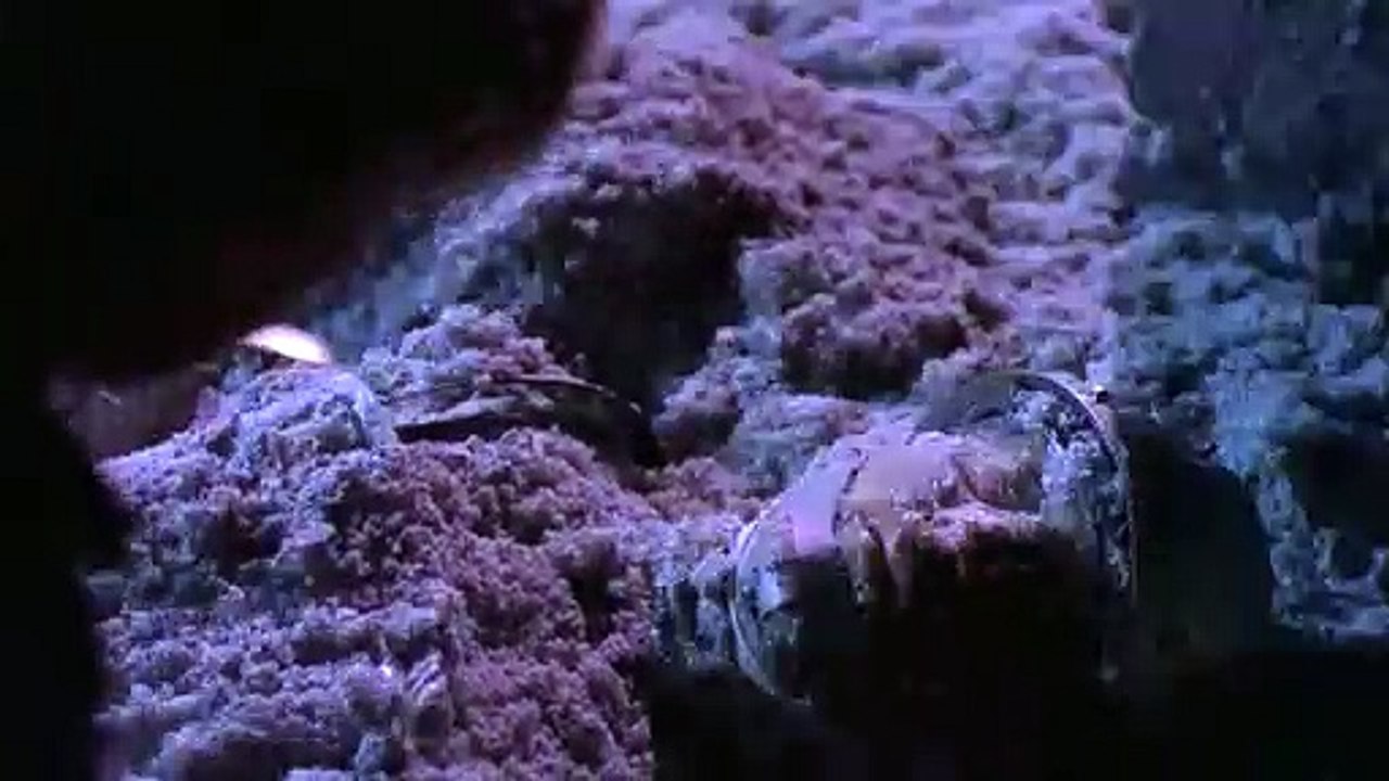 Stargate SG 1 - TEMP 1- CAP 17