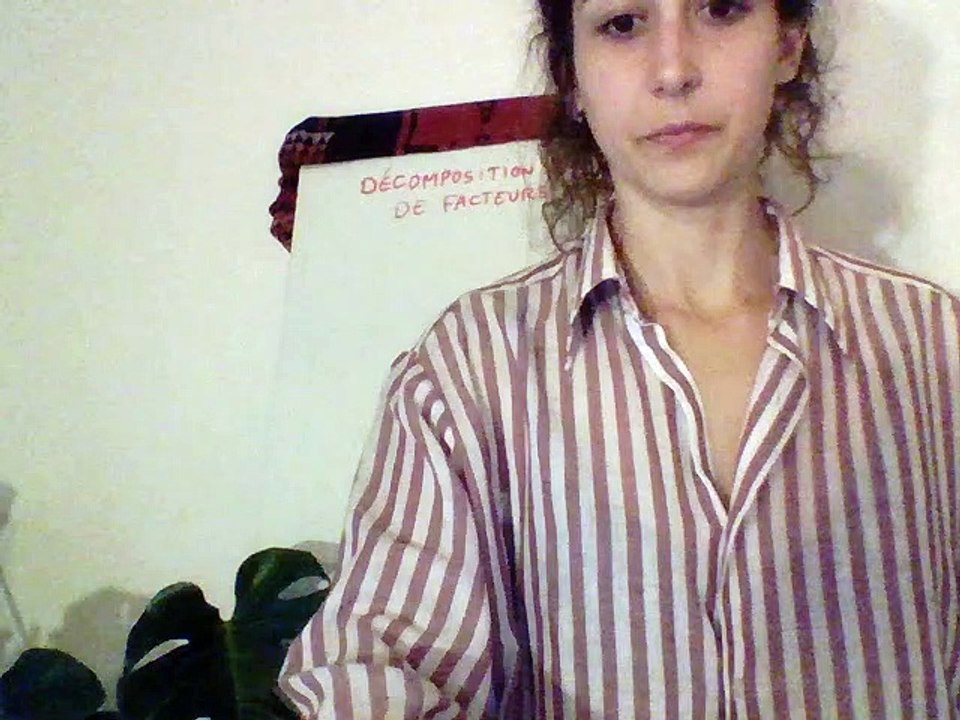 Décomposition en produit de facteurs premiers