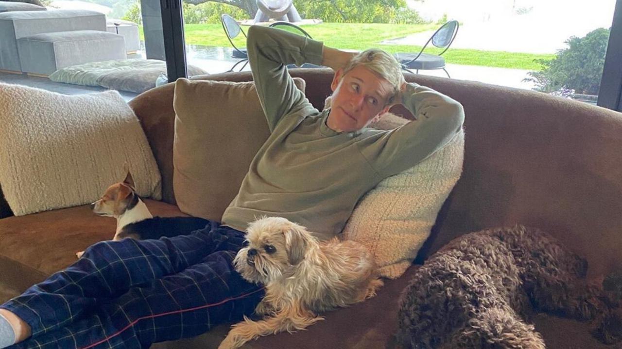 A Bored Ellen DeGeneres Cold-Calling Her Celebrity Friends Is All of Us at Home Right Now