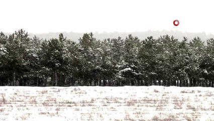 Başkent'te kar yağışı manzaraları