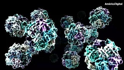 Casi el 40% de los pacientes hospitalizados por coronavirus son personas entre los 20 y 44 años