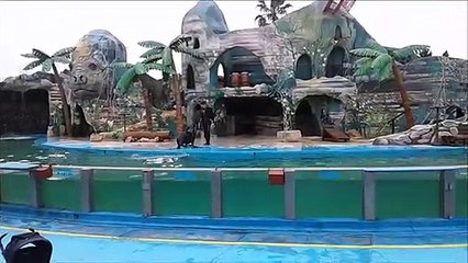 San Clemente del Tuyú: Mundo Marino SHOW (2017)