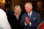 Prince Charles Keeps Forgetting Not to Shake Hands With People