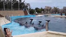 San Clemente del Tuyú: Mundo Marino - Oceanario