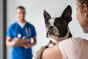 Here's What Pet Owners Need to Know About COVID-19