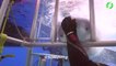 Un plongeur dans une cage se retrouve face à un grand requin blanc