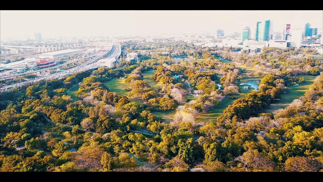 Bangkok from Above
