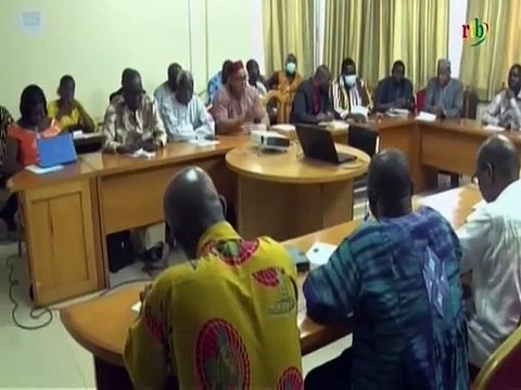 RTB / Mobilisation des chercheurs Burkinabé pour apporter leurs ripostes au Covid 19