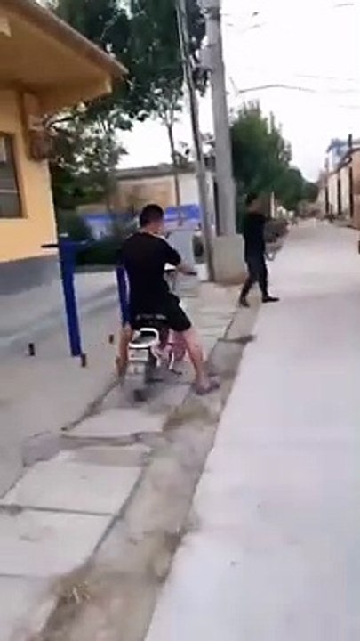Funny Animal Kick Video