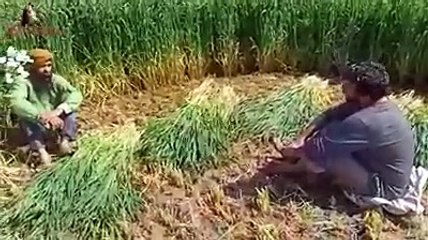 Carona Punjabi comedy film, ਕਰੋਨਾ ਪੰਜਾਬੀ ਕਮੇਡੀ ਫਿਲਮ